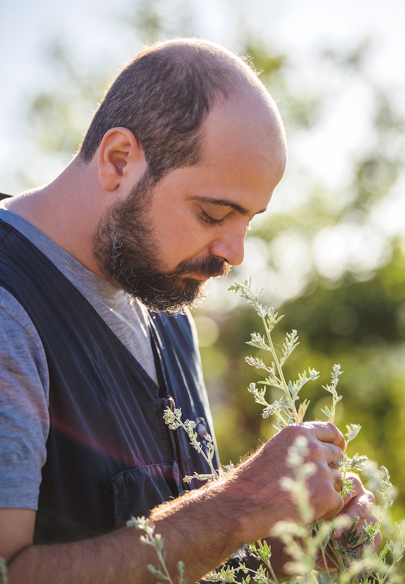 Green beauty made in Romagna