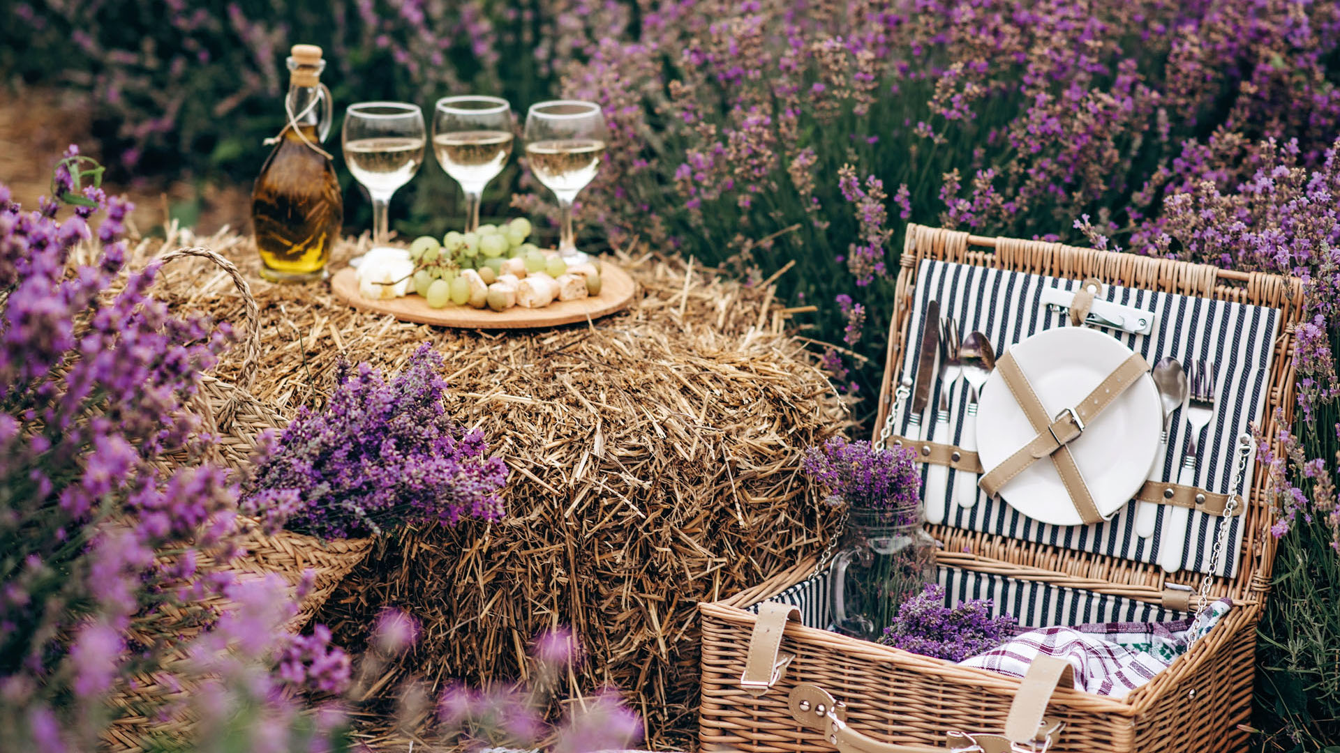 Lavanda mania: angoli tra san Tomè e Cesena