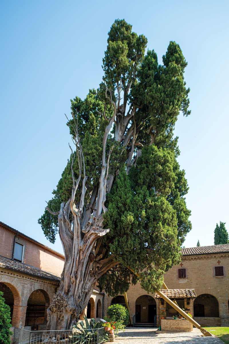 San Francesco: il sentiero verso il santuario