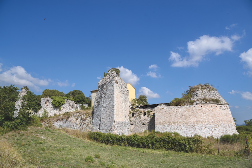 Rocche marchigiane e corti